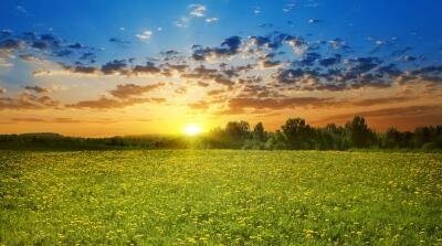 Lokun skrifstofu vegna sumarleyfa 2025